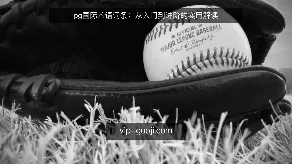 pg国际术语词条：从入门到进阶的实用解读