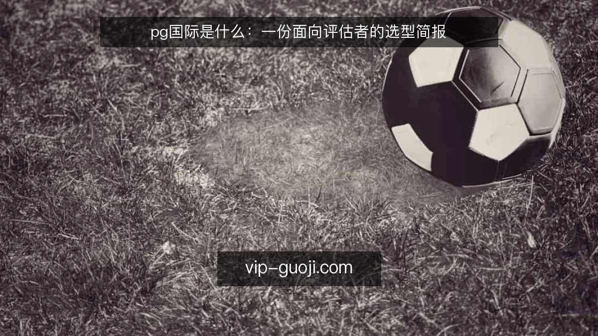 pg国际是什么：一份面向评估者的选型简报