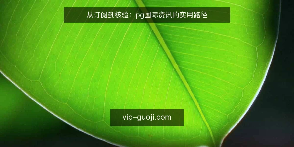 从订阅到核验:pg国际资讯的实用路径 — 场景设定:从订阅到核验的起点 配图