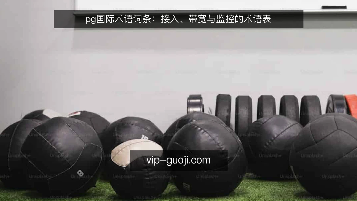 pg国际术语词条:接入、带宽与监控的术语表