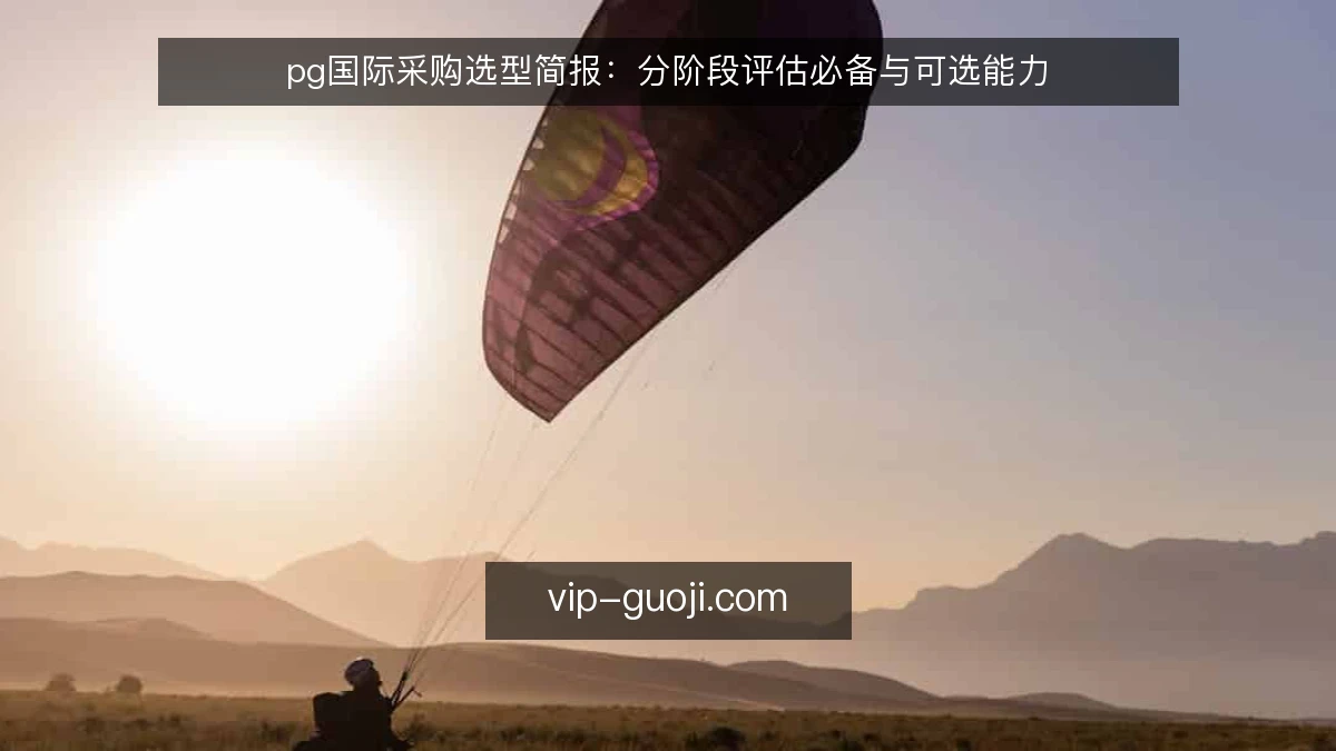 pg国际采购选型简报:分阶段评估必备与可选能力
