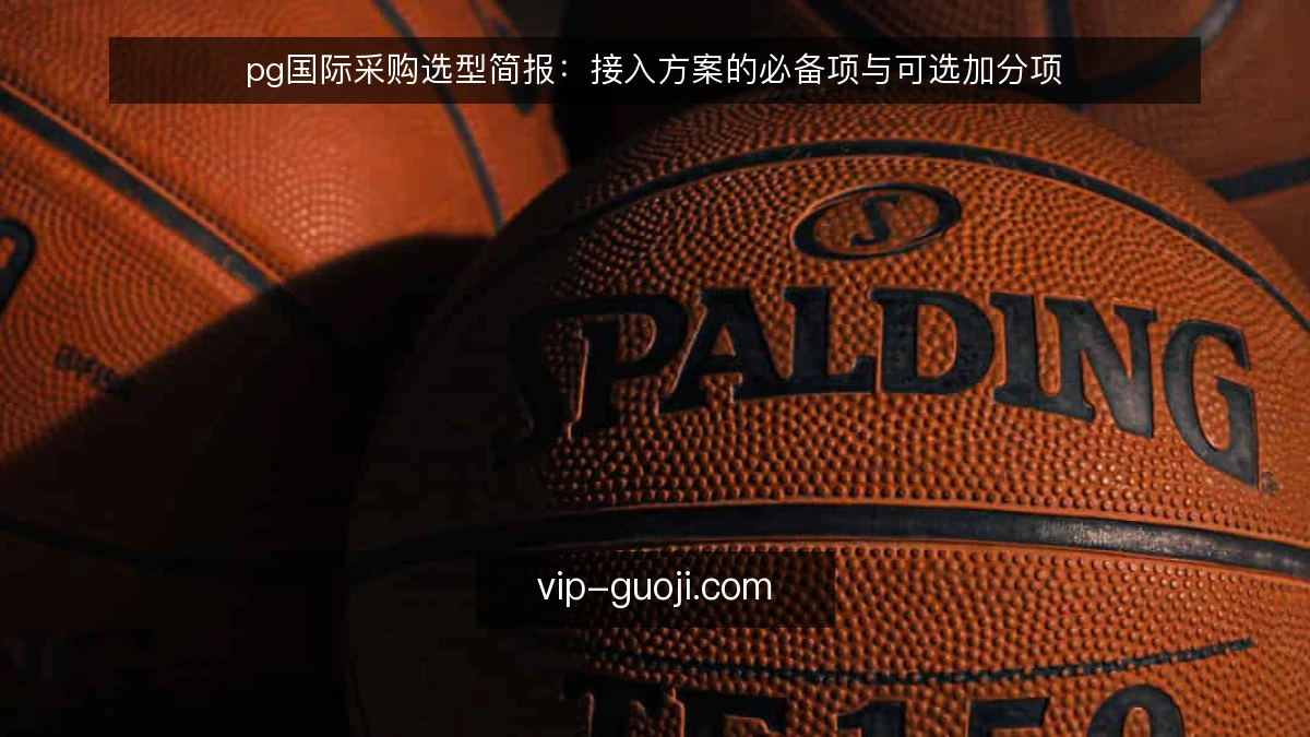 pg国际采购选型简报:接入方案的必备项与可选加分项